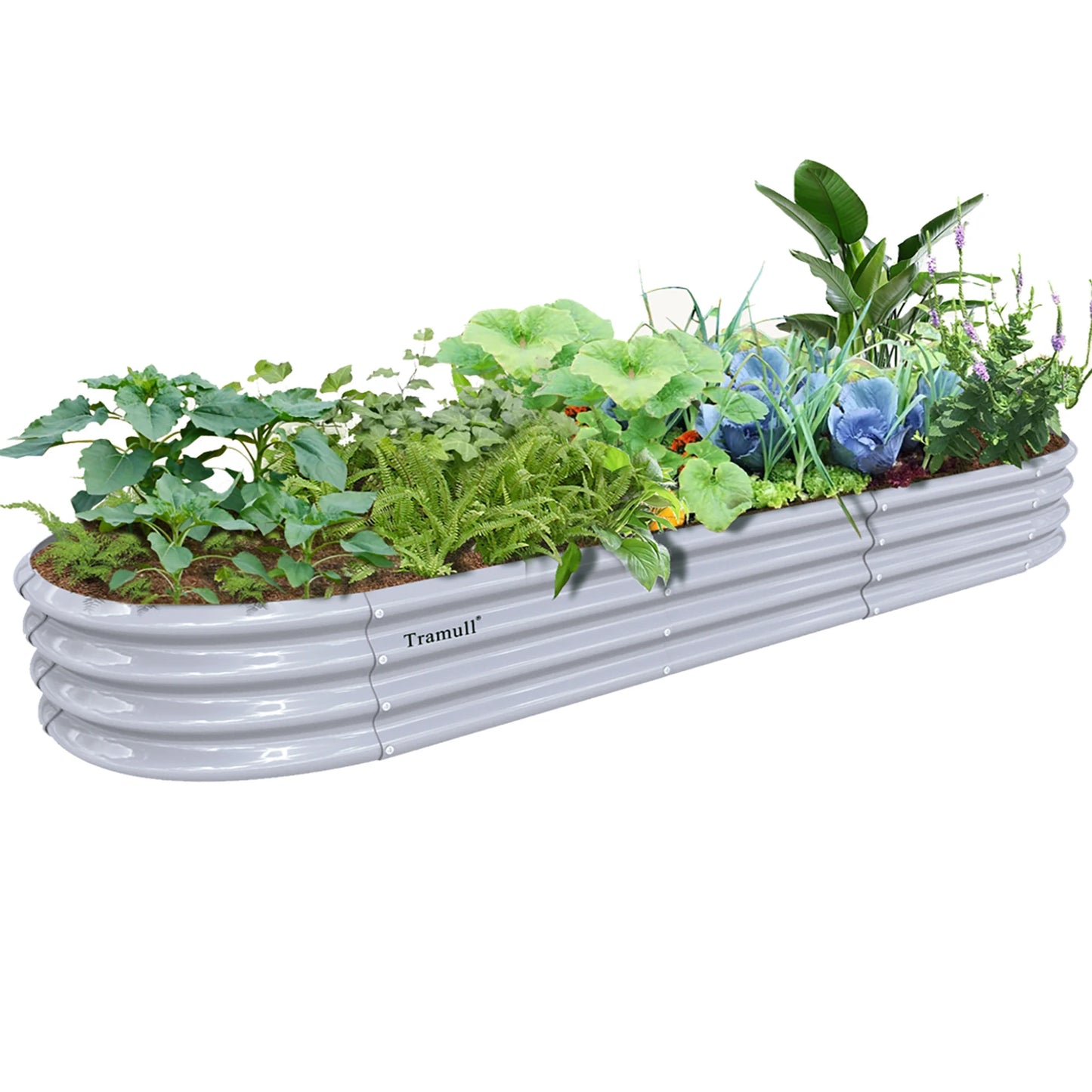 Tramull Galvanized Raised Garden Bed Planter For Vegetables Herbs Fruits Setup
