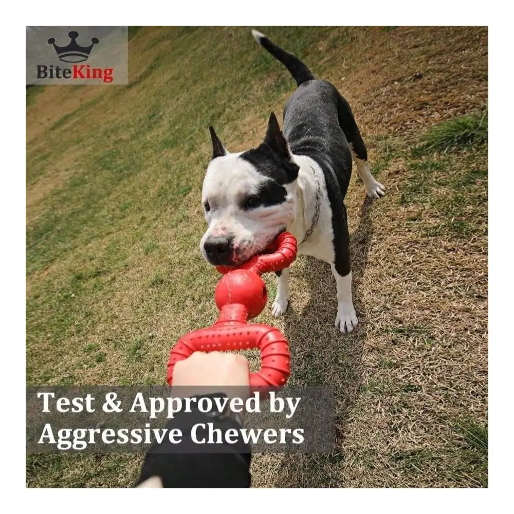 Natural Rubber Dog Toy For Medium Aggressive Chewers Tough Tug War Lifetime