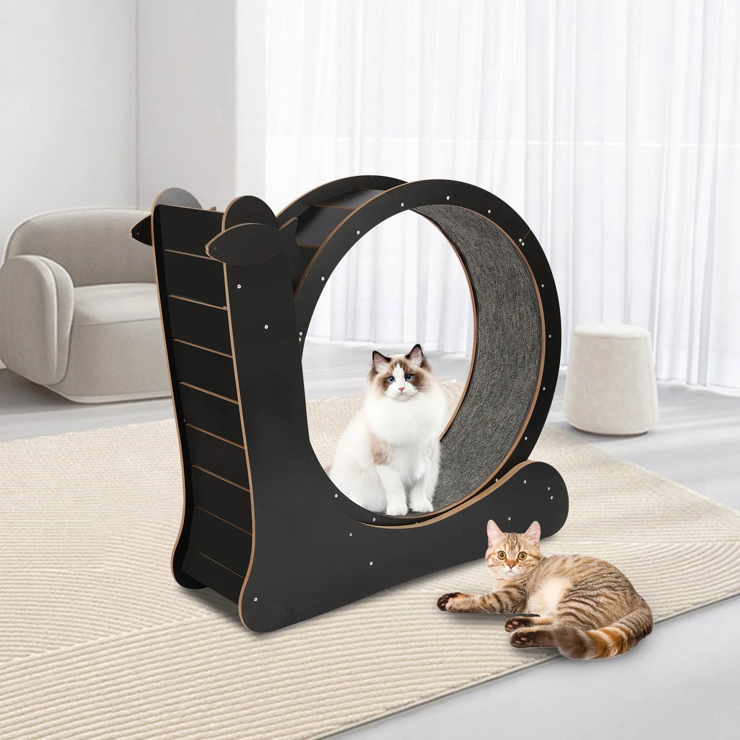 Cat Exercise Wheel Treadmill With Carpeted Runway For Cats