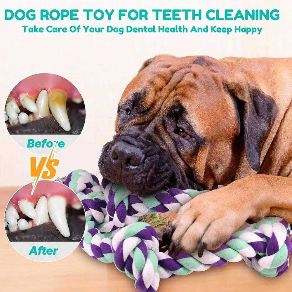 XMSJ Tough Cotton Rope Dog Chew Toys For Aggressive Chewers 6 Knots