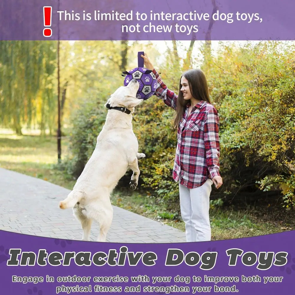 Dog Football Toy With Woven Band Indoor Outdoor Play