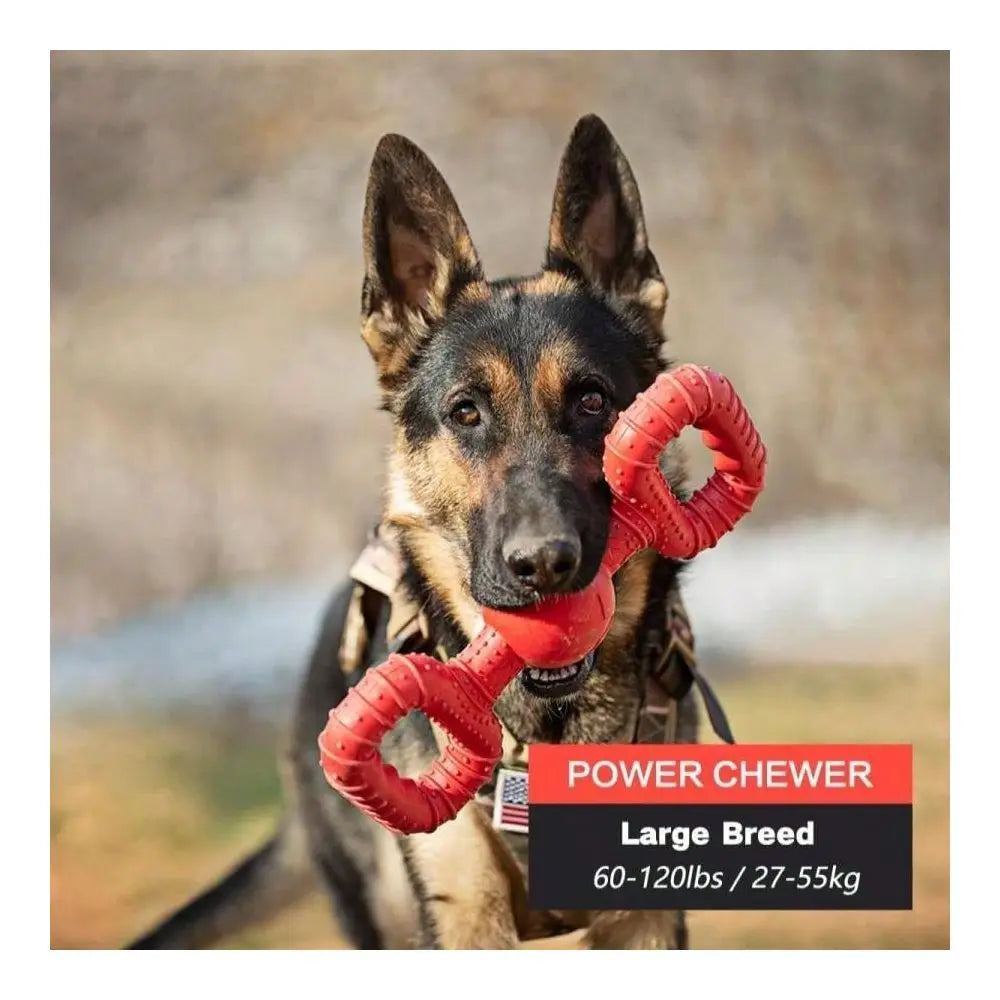 Natural Rubber Dog Toy For Medium Aggressive Chewers Tough Tug War Lifetime