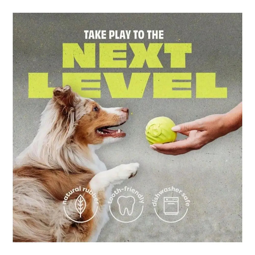 XMSJ Pawbler Natural Rubber Interactive Enrichment Treat And Kibble Toy