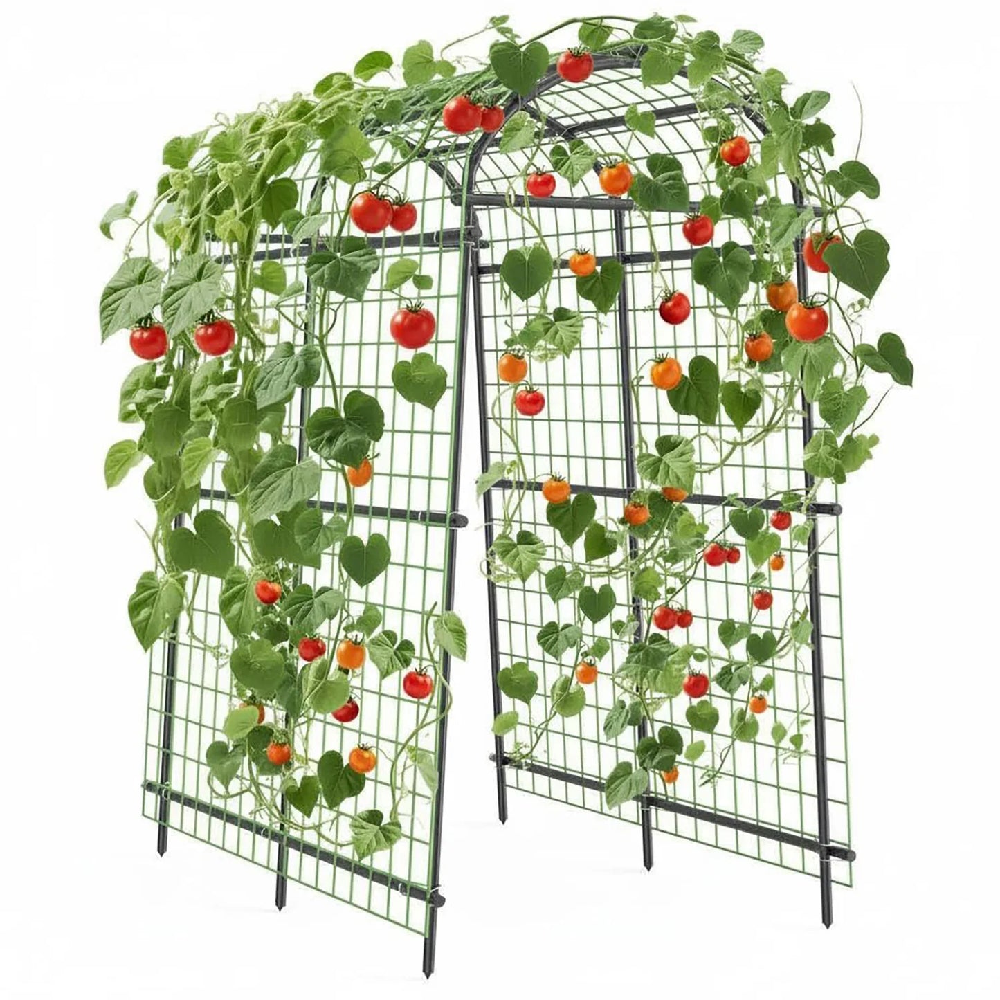 DishyKooker Heavy Duty Metal Garden Arch Trellis Cucumber Arbor