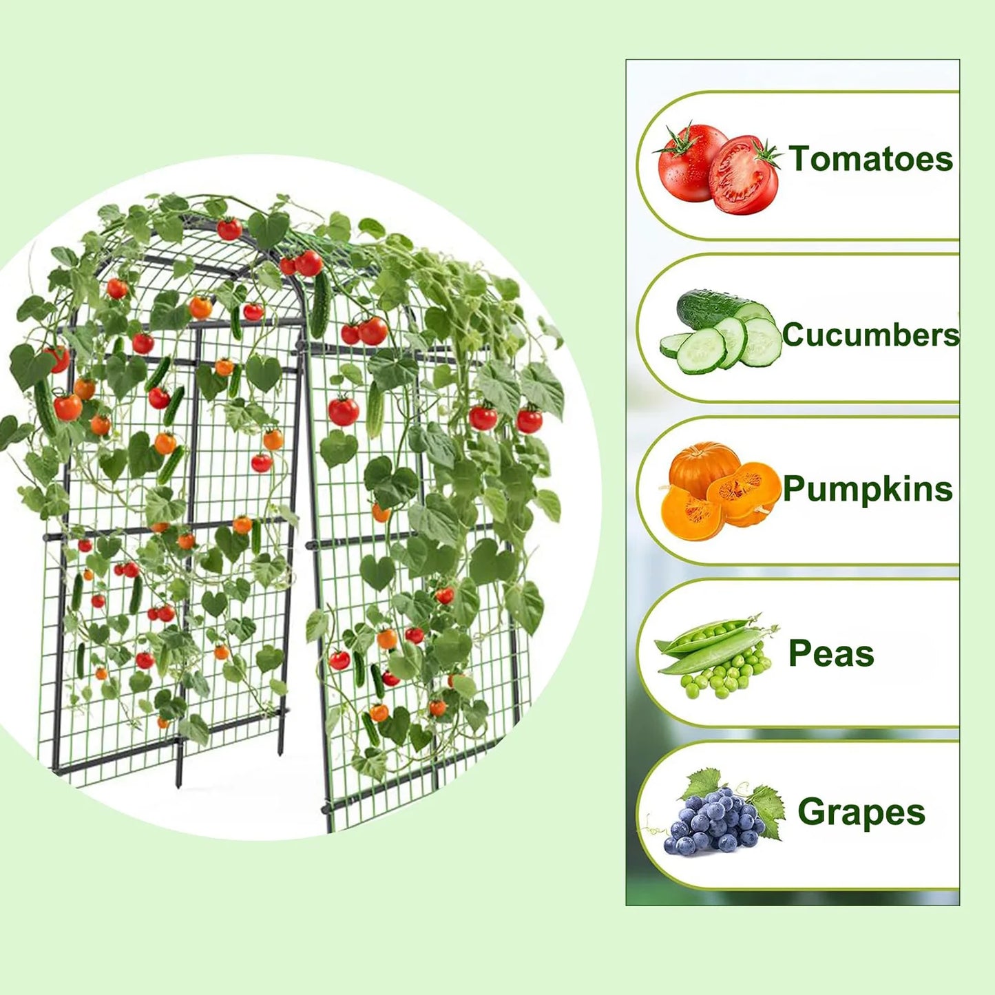 DishyKooker Heavy Duty Metal Garden Arch Trellis Cucumber Arbor