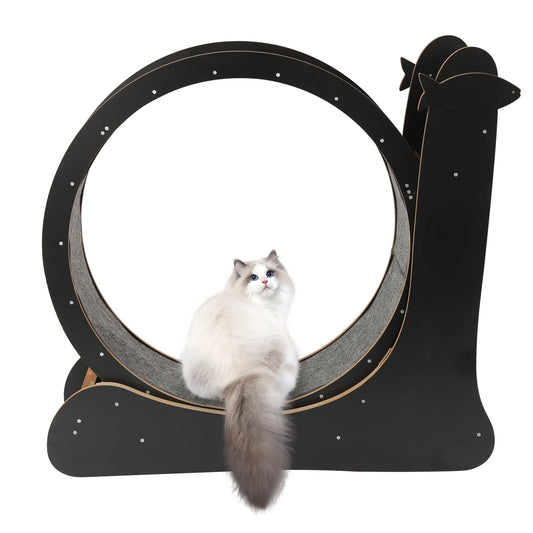 Cat Exercise Wheel Treadmill With Carpeted Runway For Cats