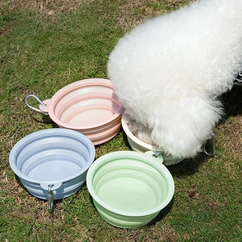 Collapsible Travel Dog Bowl For Dogs And Cats Plastic