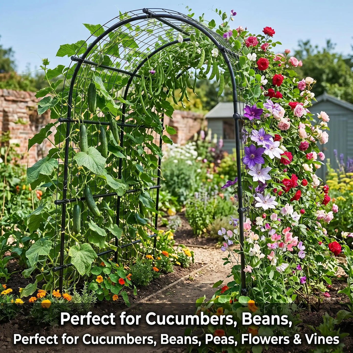 Cucumber Metal Garden Trellis Arch For Raised Bed Climbing Plants