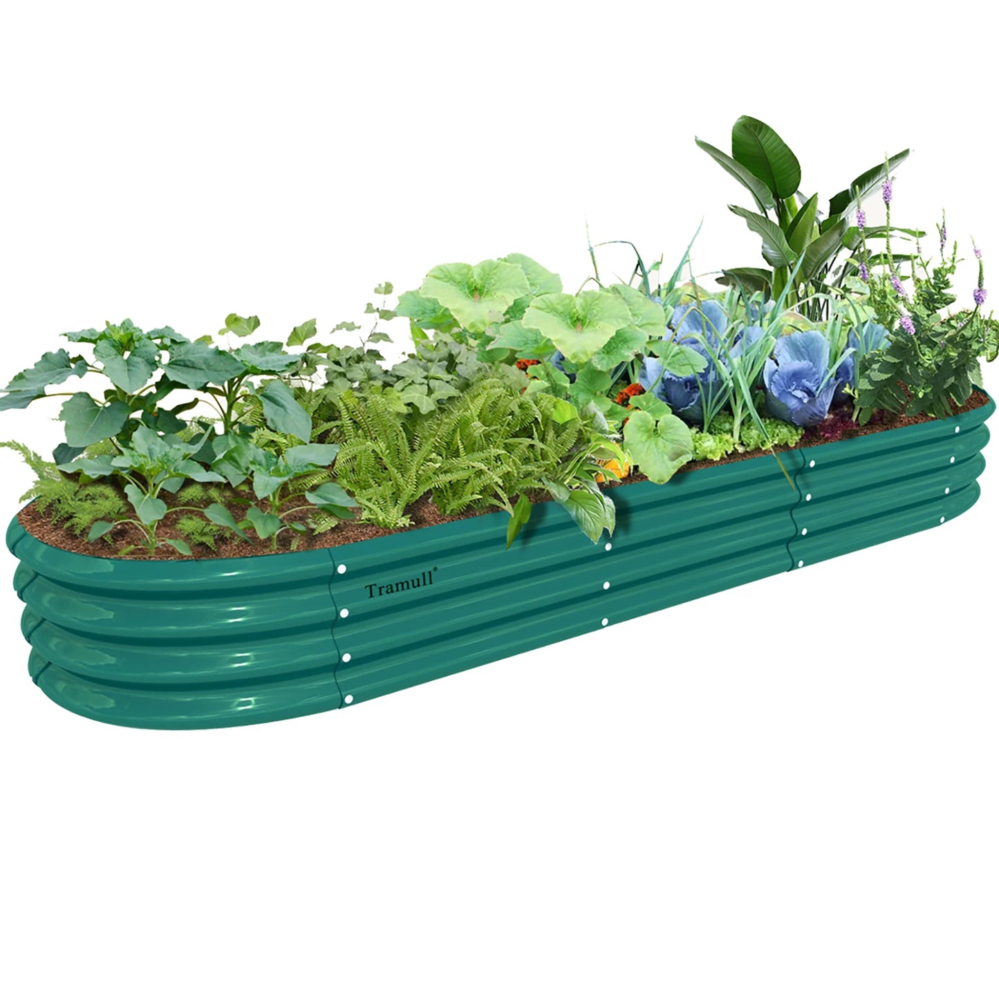 Tramull Galvanized Raised Garden Bed Planter For Vegetables Herbs Fruits Setup