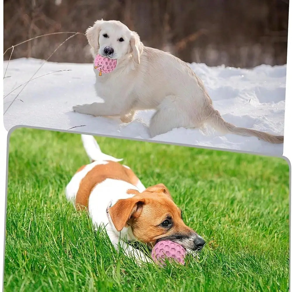Indestructible Dog Chew Toys Squeaky Balls For Aggressive Chewers