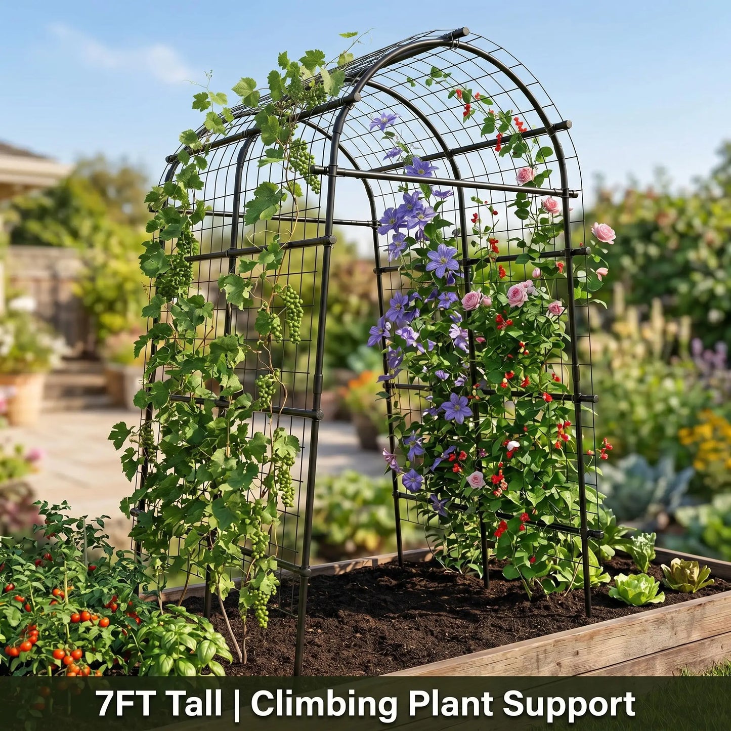 Cucumber Metal Garden Trellis Arch For Raised Bed Climbing Plants
